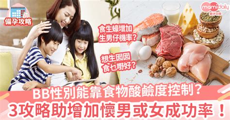 生仔 生女|【生仔生女機率】留意酸鹼？要食咩？3個生仔生女秘訣